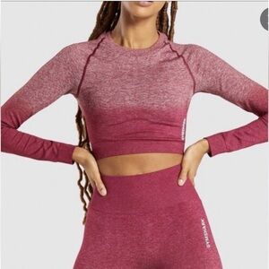 Gymshark Ombre Seamless Set